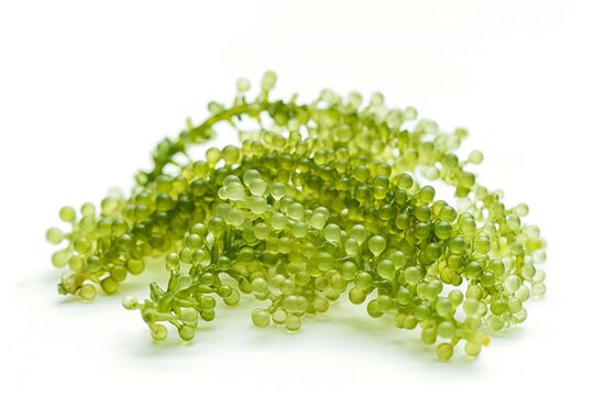 AdobeStock_118054788